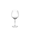 Store 100 POINTS Burgundy glass Glasses