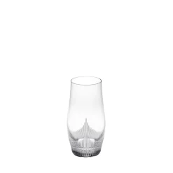 Best 100 POINTS Large Size Tumbler Glasses