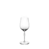 Shop 100 POINTS universal glass Glasses
