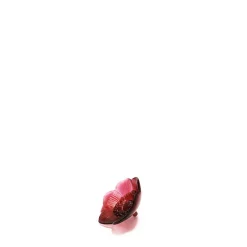 Shop Anemone small sculpture Sculptures