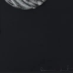 Clearance Eternal Hope, Damien Hirst & , 2015 Art Panels