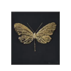 Cheap Eternal Hope, Damien Hirst & , 2015 Art Panels