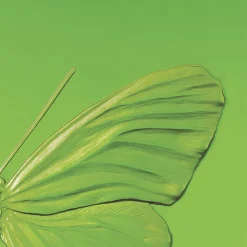 Store Eternal Hope, Damien Hirst & , 2015 Art Panels