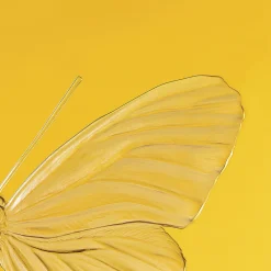 Outlet Eternal Hope, Damien Hirst & , 2015 Art Panels