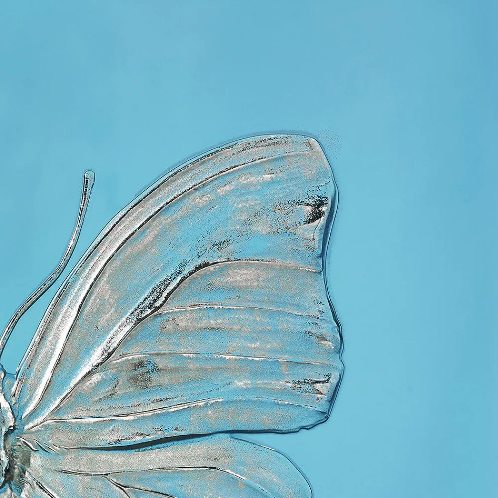 Best Sale Eternal Love, Damien Hirst & , 2015 Art Panels