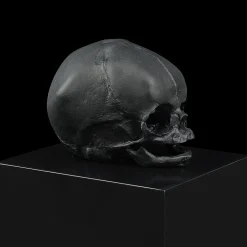 Hot Eternal Memory, Damien Hirst & , 2017 Sculptures