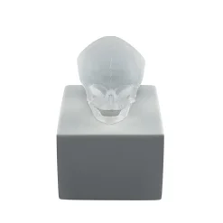 Cheap Eternal Memory, Damien Hirst & , 2017 Sculptures
