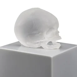 Cheap Eternal Memory, Damien Hirst & , 2017 Sculptures
