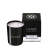 Clearance Fig Tree, Amalfi - Italy, Scented Candle Candles