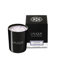 Clearance Fig Tree, Amalfi - Italy, Scented Candle Candles