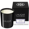 Store Fig Tree, Amalfi - Italy, Scented Candle, 600g Candles