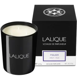 Store Fig Tree, Amalfi - Italy, Scented Candle, 600g Candles