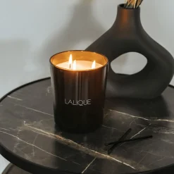 Store Fig Tree, Amalfi - Italy, Scented Candle, 600g Candles