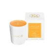 Sale Les compositions parfumées, Sweet Amber, Scented Candle Candles