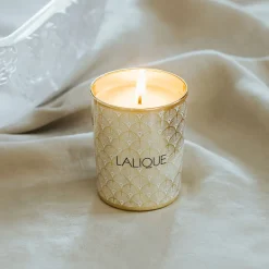 Store Noir Premier, Plume Blanche 1901, Scented Candle Candles