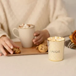 Store Noir Premier, Plume Blanche 1901, Scented Candle Candles