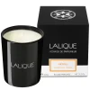 Clearance Néroli, Casablanca - Morocco, Scented Candle, 600g Candles
