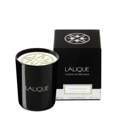Online Osmanthus, Himalaya - Nepal, Scented Candle Candles