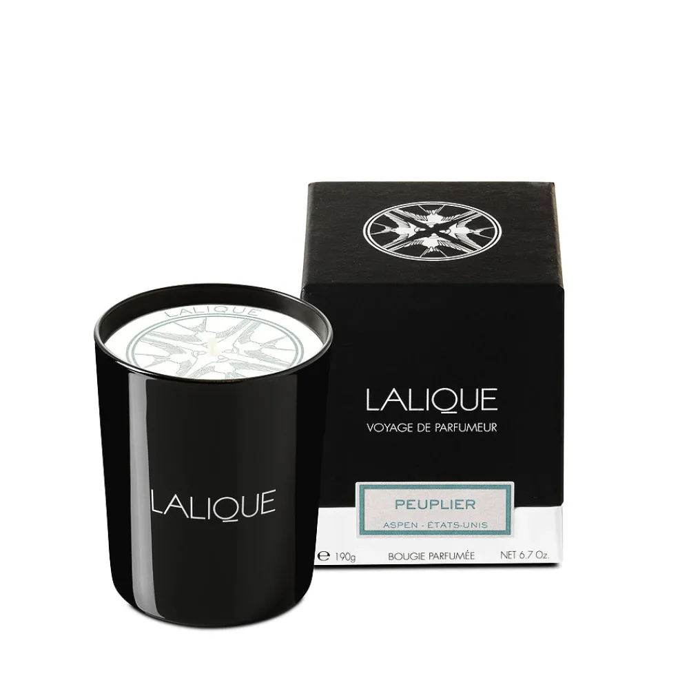 Flash Sale Poplar, Aspen - United States, Scented Candle Candles