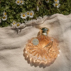 Discount Soleil , Eau de Parfum Women Women's Fragrances