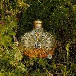 Shop Soleil Vibrant , Eau de Parfum Women Women's Fragrances