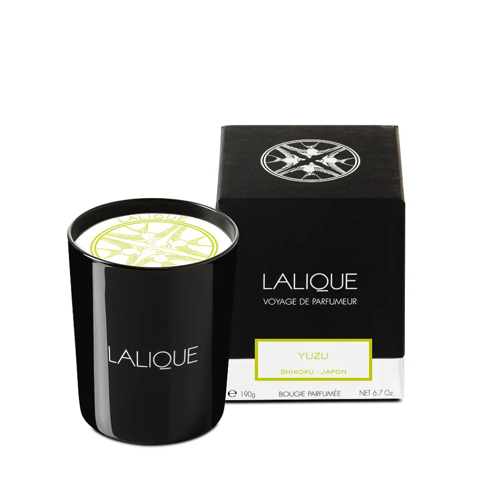 Online Yuzu, Shikoku - Japan, Scented candle Candles